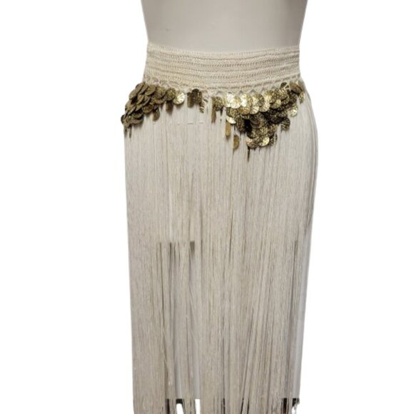 Hip Skirt Belly Dance Tassels Fringe Skirt Bellydance Coins and Fringe Hip Scarf - Picture 3 of 11
